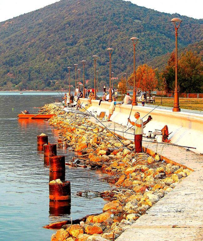 Apartments Nana Golubac Buitenkant foto
